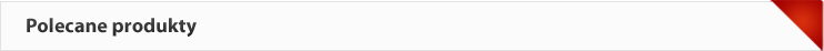 Polecane produkty